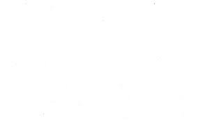 كاهي وبورك الحجي